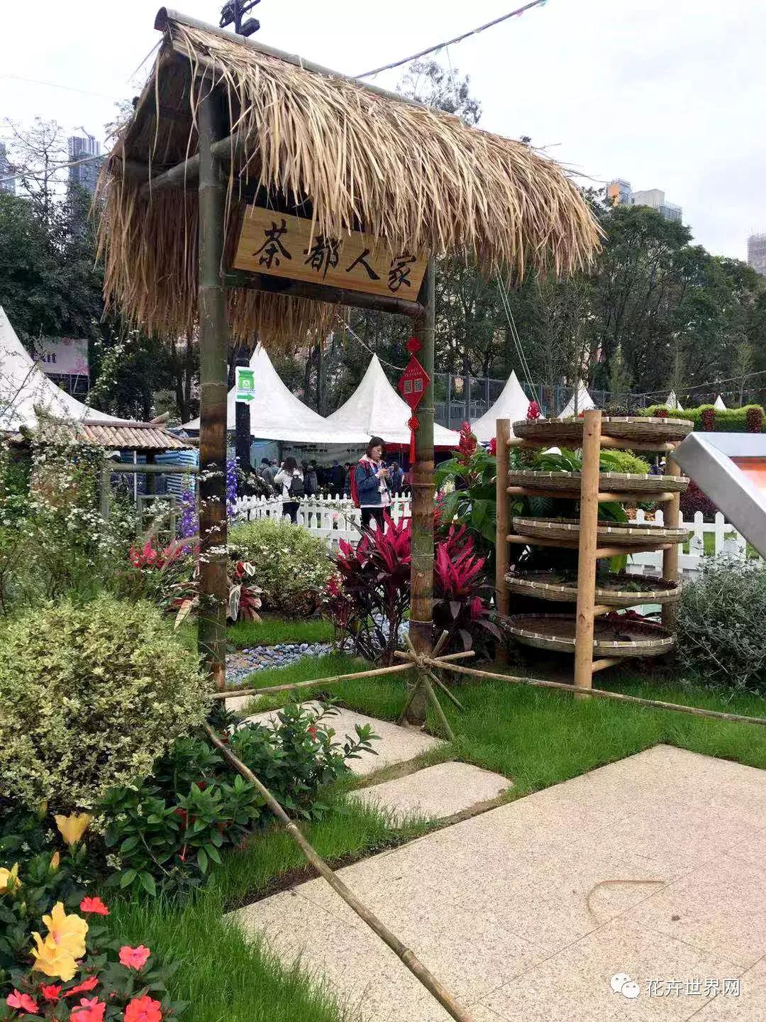 共赴盛会活动,香港国际花卉展