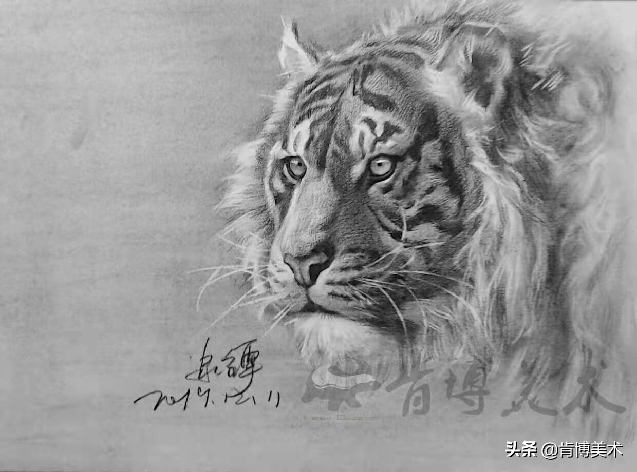 怎么画老虎素描新手,画素描老虎的步骤与方法