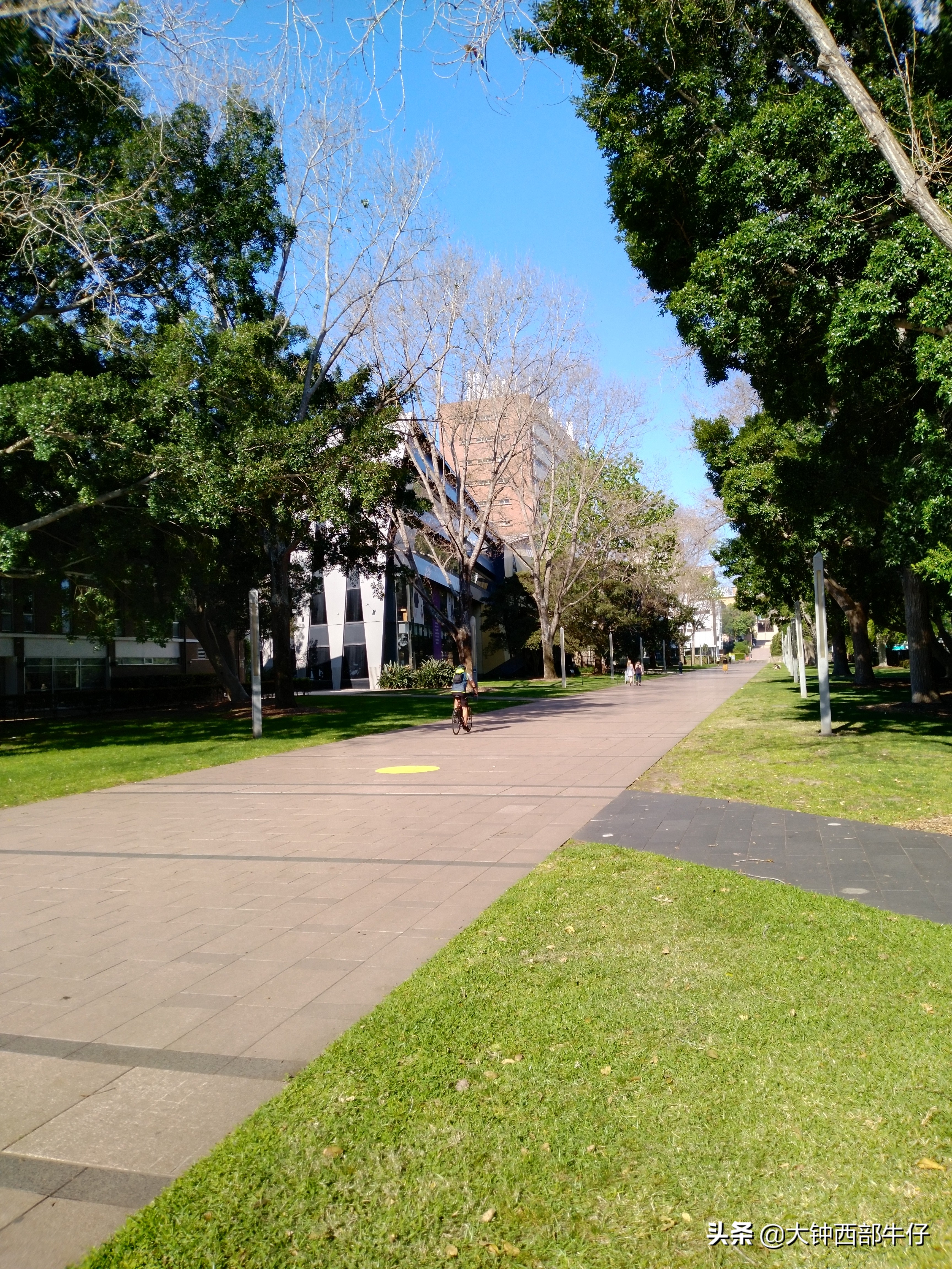我逛了逛新南威尔士大学，这可是澳洲八大高校之一