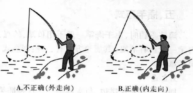 只要掌握遛鱼方法，可以减少跑大鱼烦恼。