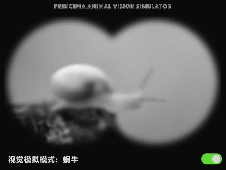 视觉软件exe,视觉模拟器