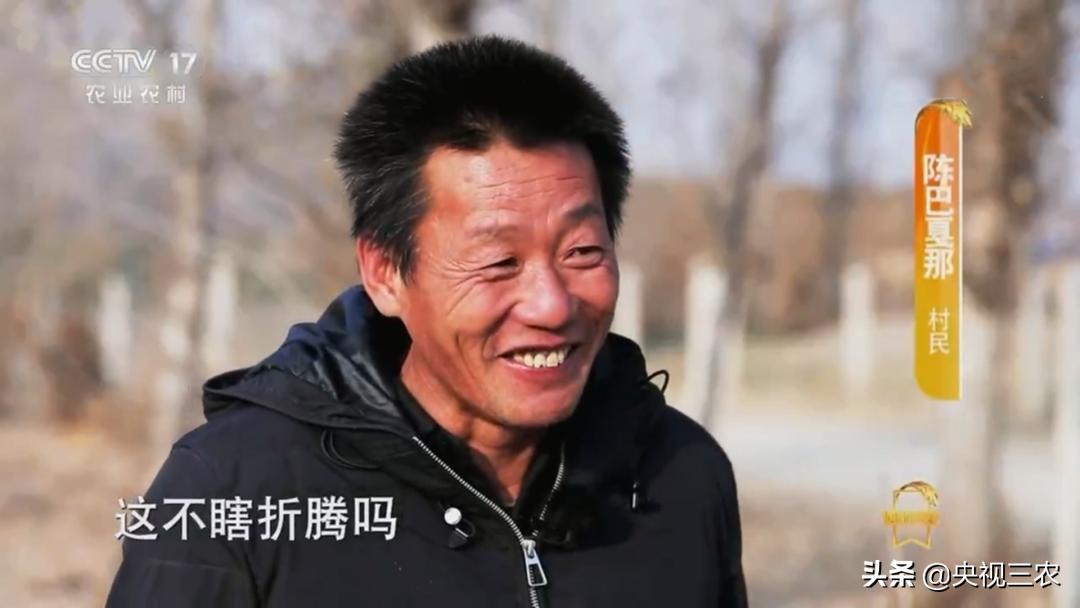 荒漠变绿洲不怕苦也不认命,荒漠变绿洲24年种下300万棵树