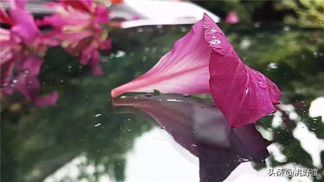 上联一日情深求下联,上联一寸相思一寸泪如何对下联