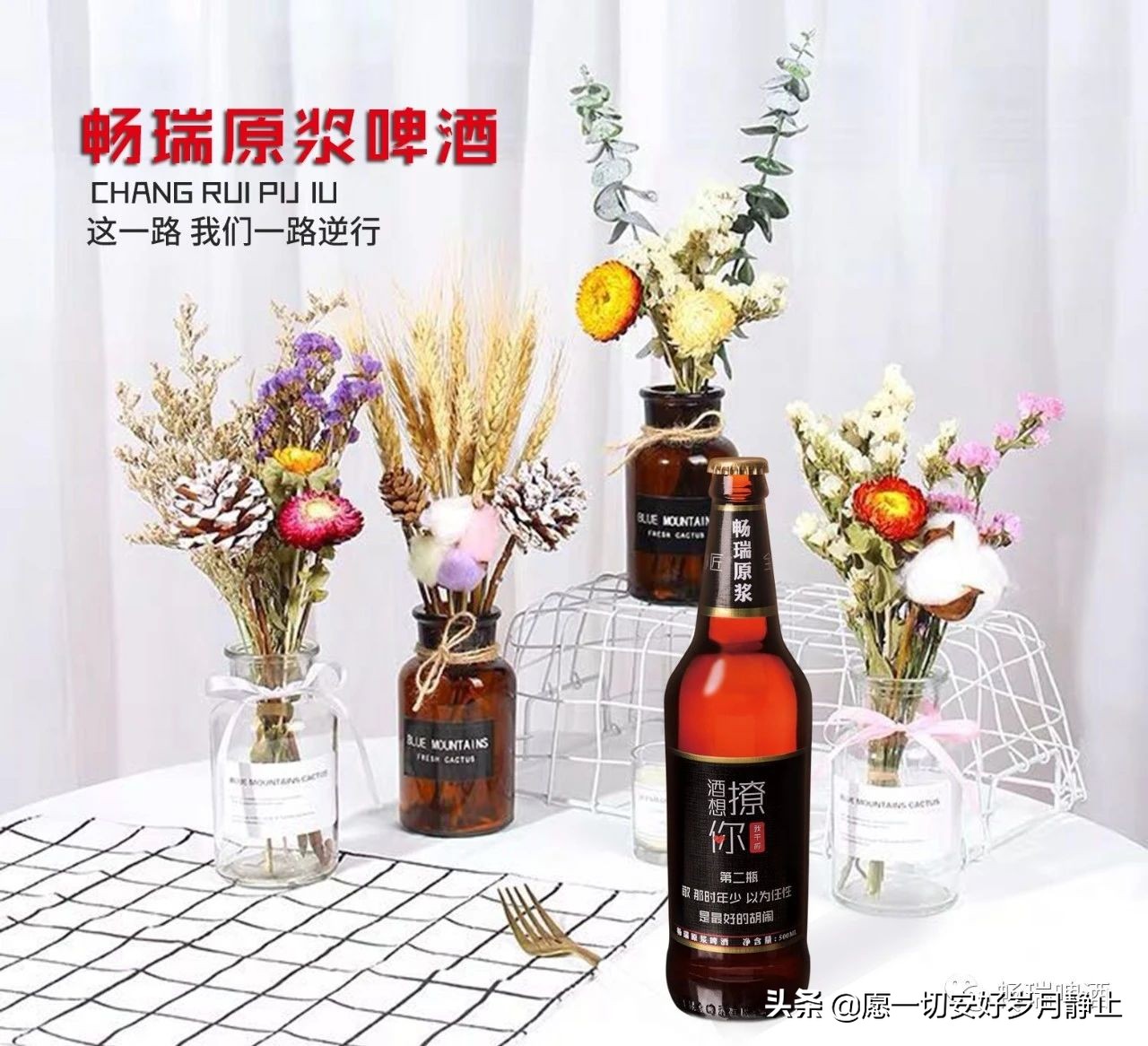 原浆啤酒和普通啤酒区别在哪,啤酒原浆跟普通的啤酒有什么区别