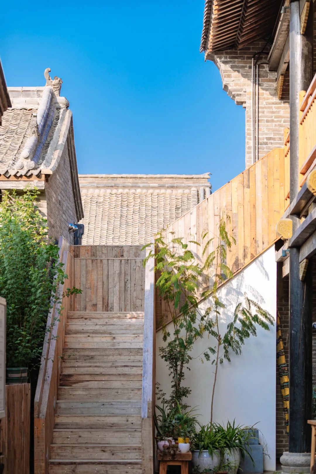 閮戝寳鍙ら晣灏忛櫌,閮戝寳涓紡灏忛櫌