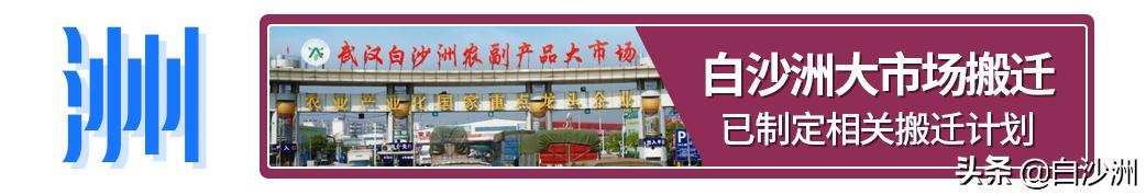 洪山区湘龙鑫城小学规划公示,湘龙鑫城小学开工