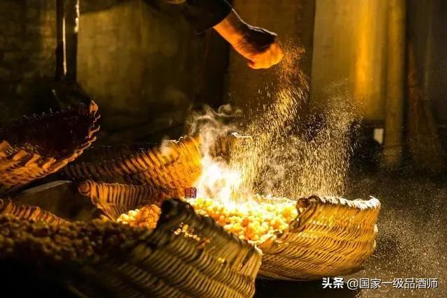 万年糟指的是什么意思,千年窑万年糟是什么意思