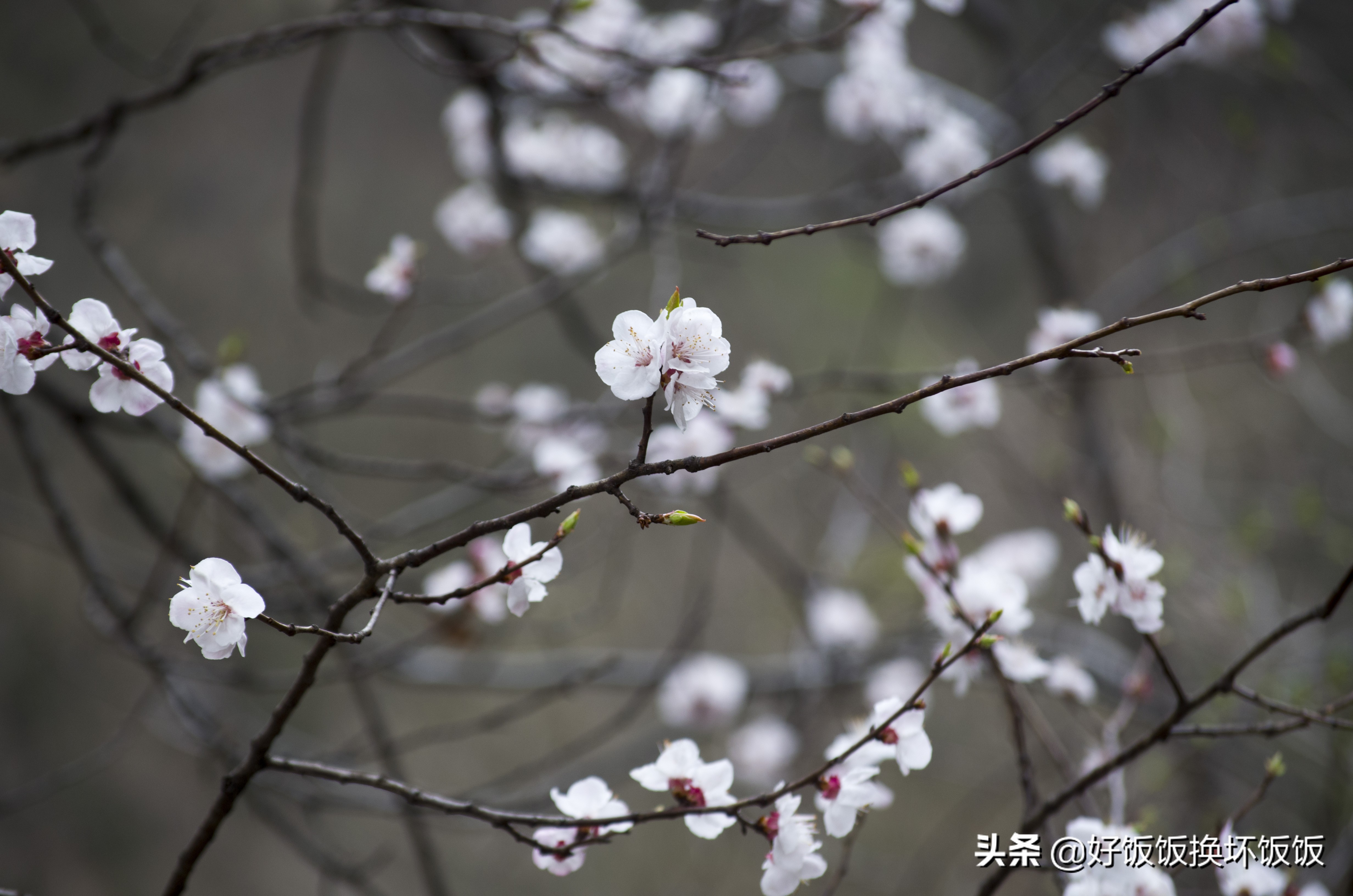 华山站到华山北峰怎么走,华山西峰到华山北峰山路怎样