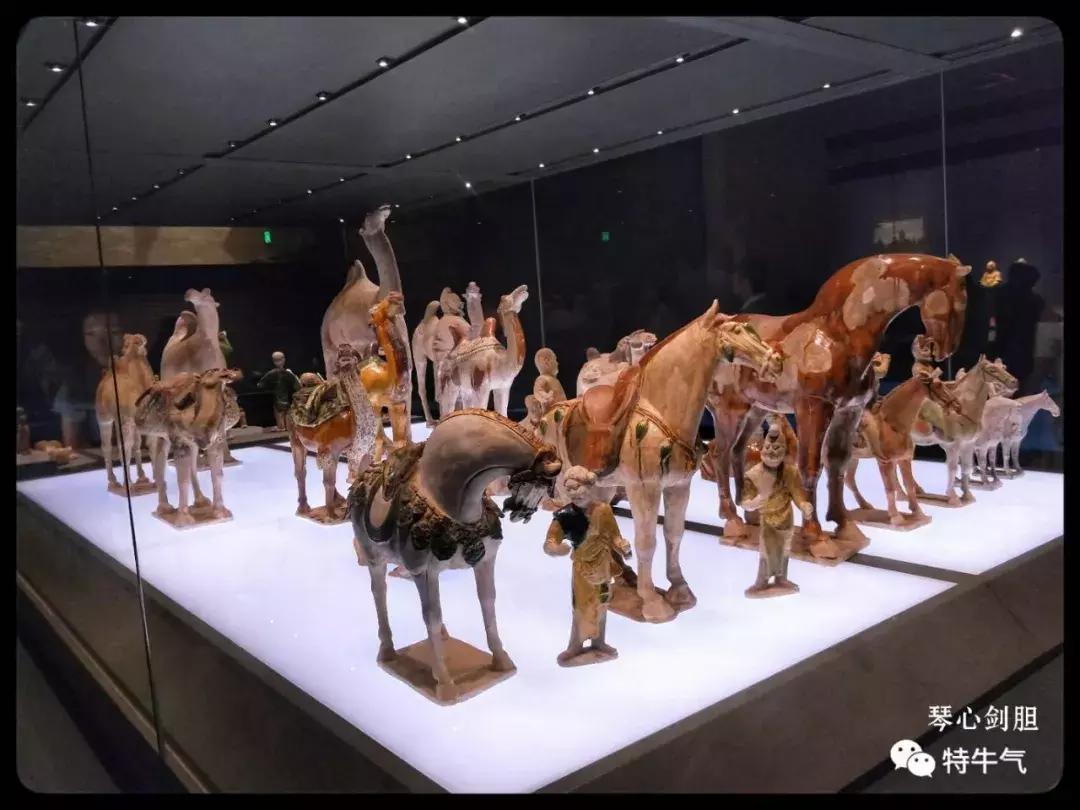 赤金走龙陕西历史博物馆,陕西历史博物馆抢票攻略