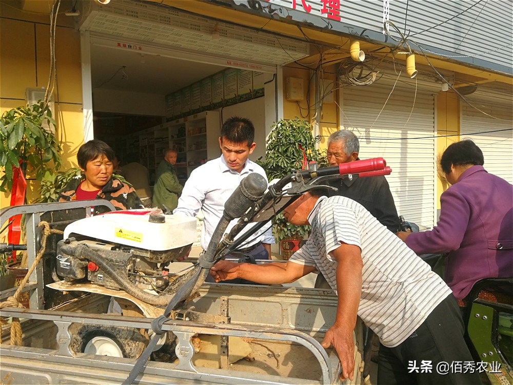 一亩地搞种植业可以赚多少钱,农村农业种植业哪种能赚钱
