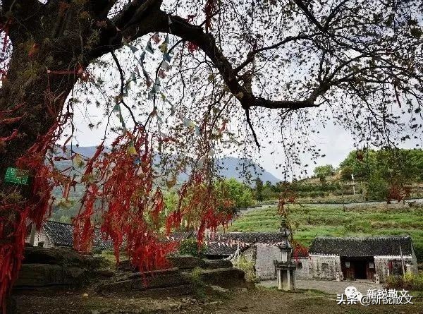 盐井寺因为盐池温泉而得名,盐井温泉简介