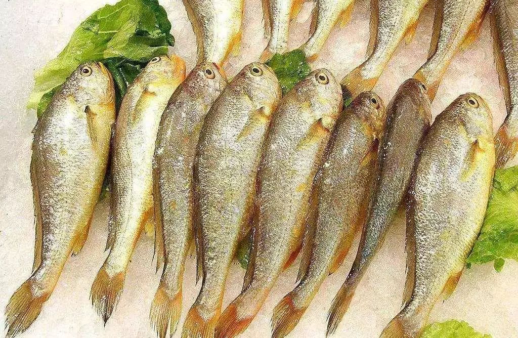 没学历在上海干什么可以挣15000,月薪不足5000的看过来