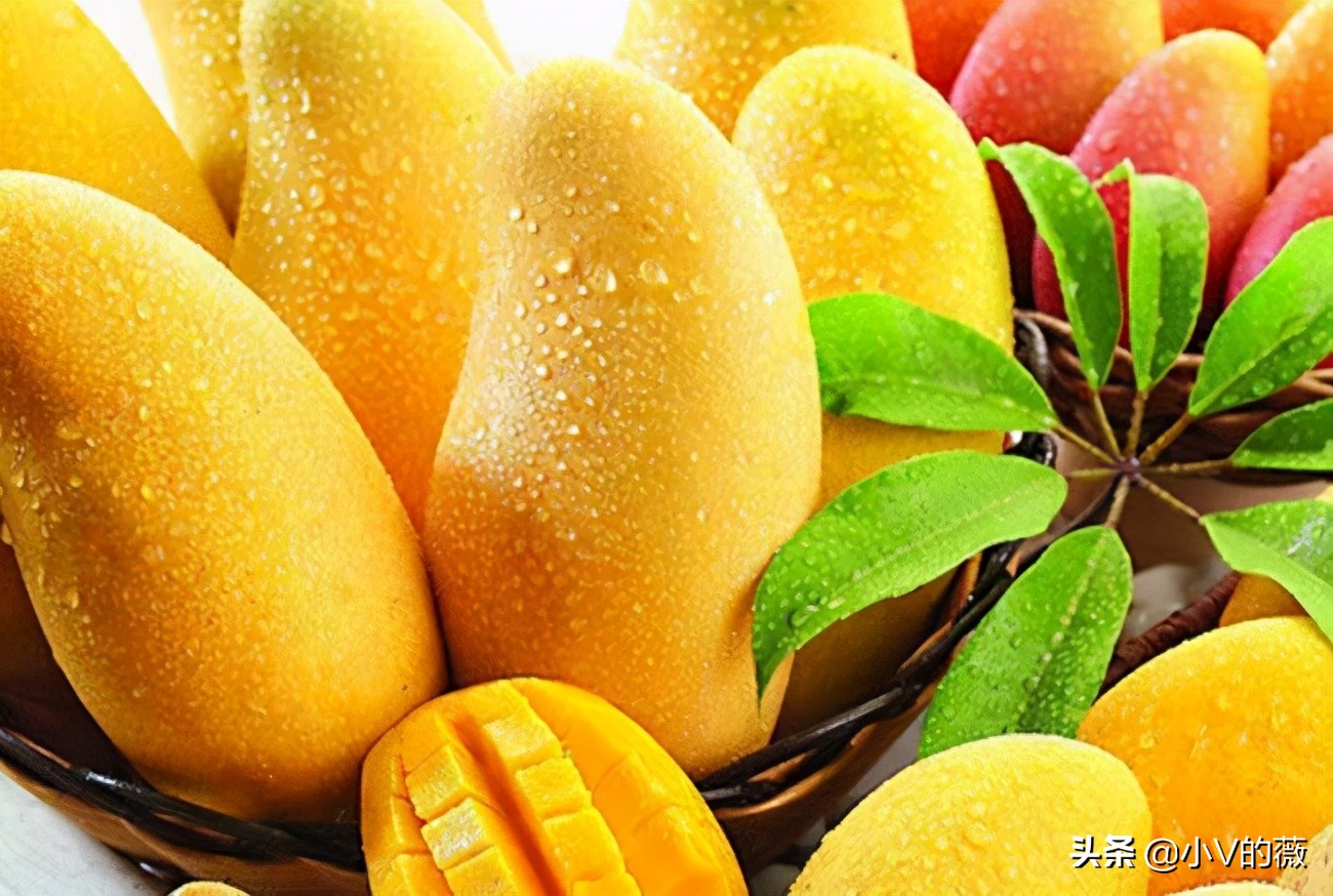 battle吃豆人,battletrip吃芒果是哪一期