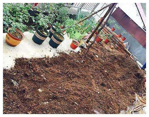 养花换的老土如何处理掉,养花用过的旧土怎么处理