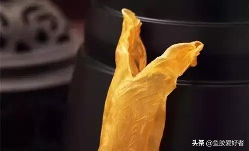 花胶涨发的正确方法,花胶的种类及区别