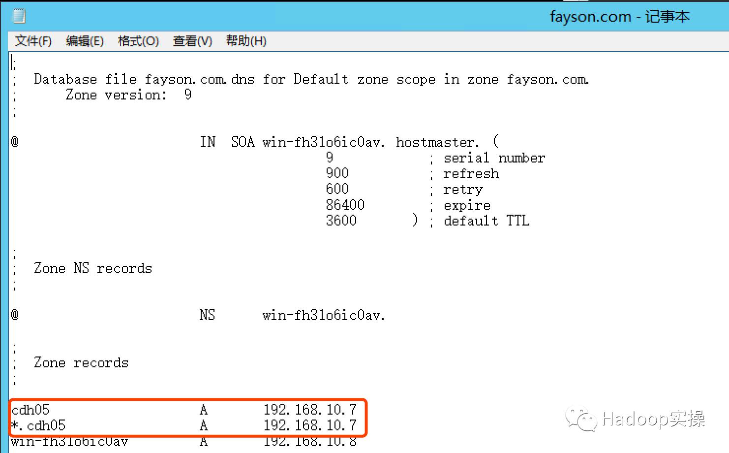 winserver2012dns服务查询,windows如何搭建虚拟dns服务器
