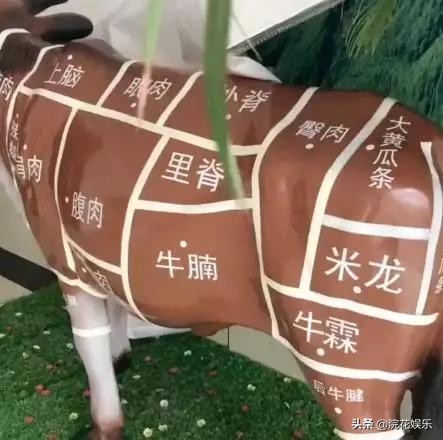 兄弟发型搞笑gif,搞笑男生发型gif