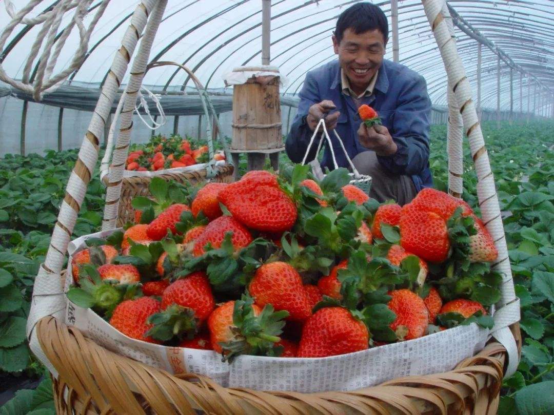 让居民望得见山阅读答案,让人民看得见山望得见水