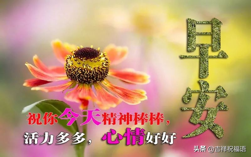 早晨问候语早上好微信短语,清晨最新早上好问候祝福语句