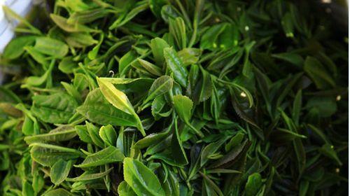 庐山云雾茶很香的茶是什么,具有天然馥郁兰花香的茶