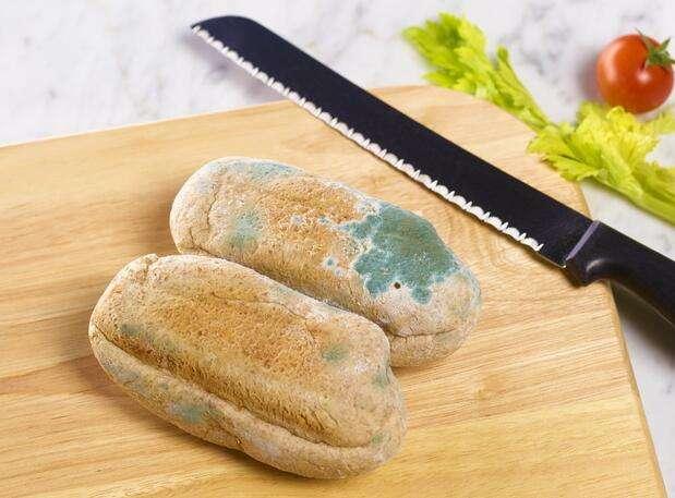 犬类中毒怎么办,犬中毒并发症有哪些