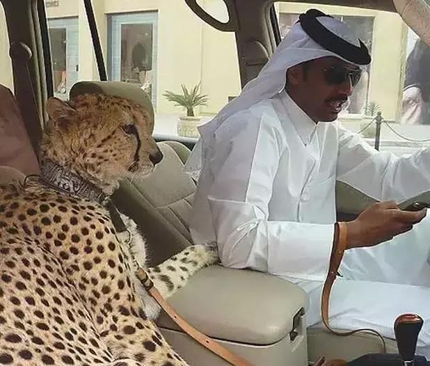 揭秘迪拜真实生活,国外生活真实记录迪拜