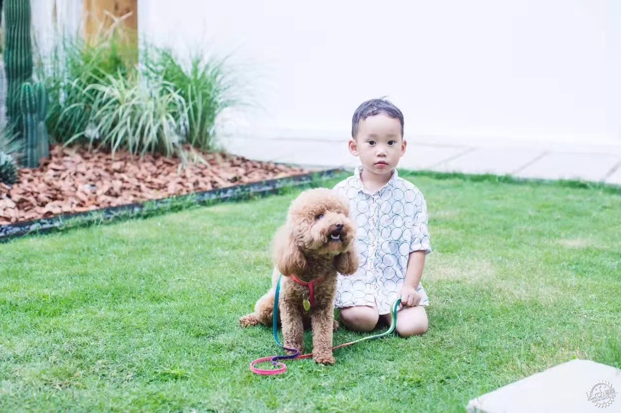 sasa，西西，设计师老王和三圣乡的“亲家DearHome”