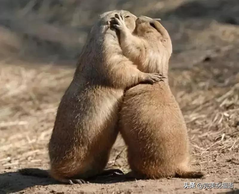 今天2.1，2月第1天，谁编的，太好笑了，给群里乐一乐~