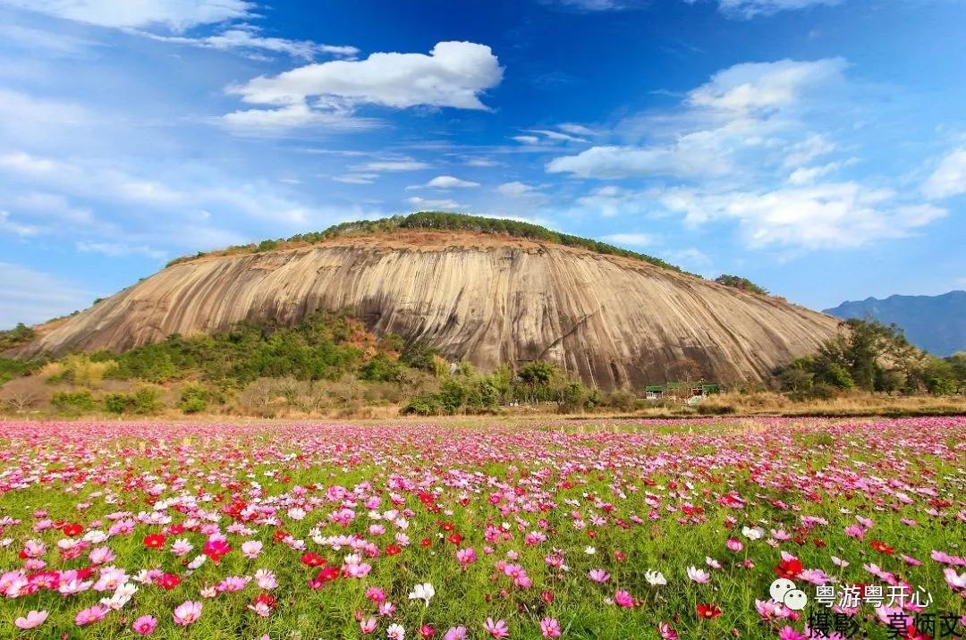 肇庆第一大斑石头,最大的石头有几寸