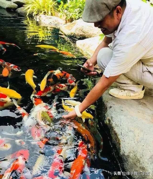 常见药用消毒液,常用的皮肤消毒液有哪些