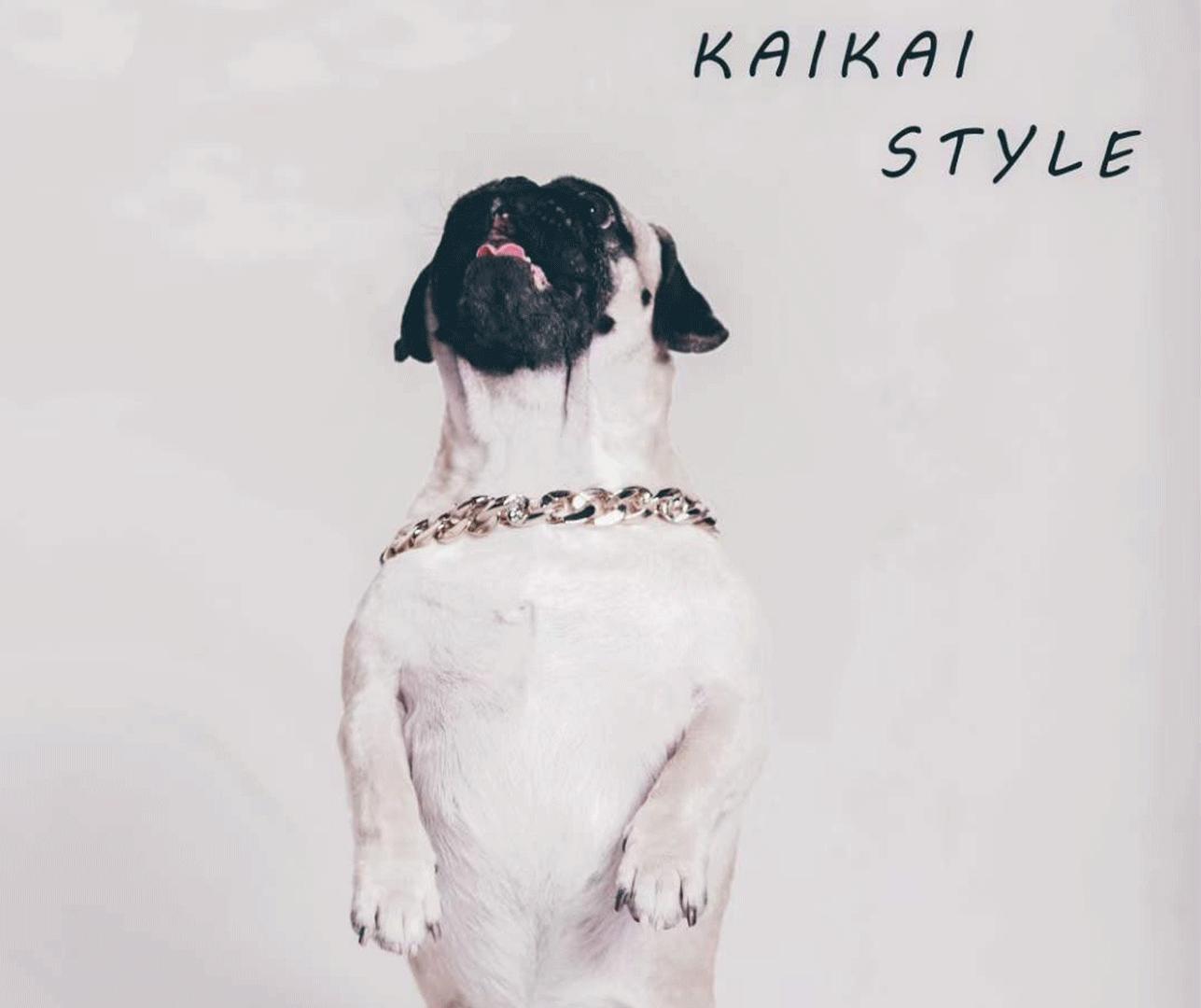 宠物港沈阳店,宠物港华业店