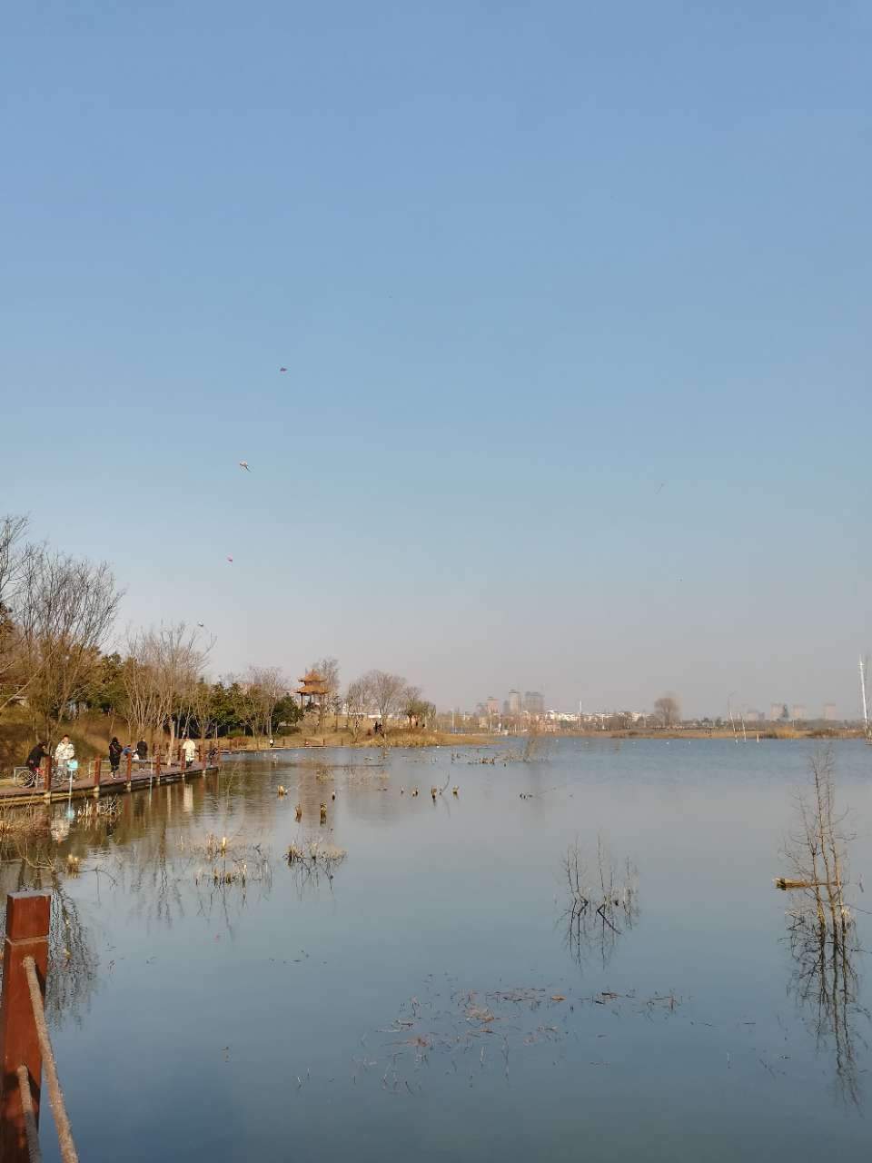 淮南湿地风光视频,淮南公园景点大全