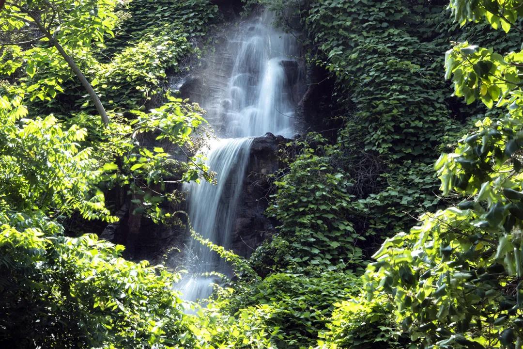 平谷石林峡套票,平谷石林峡门票优惠政策