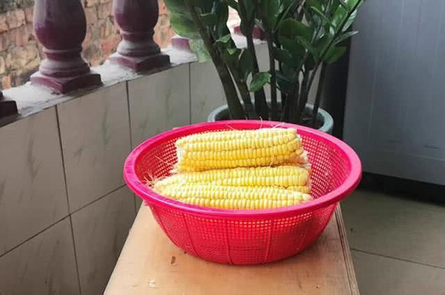 用玉米粒钓鱼,用玉米粒钓鱼需要打窝吗