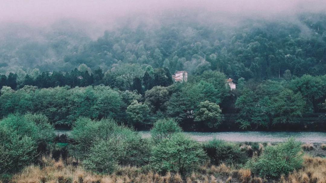 武夷山亲子民宿推荐独栋别墅,武夷山风景区民宿推荐价格表