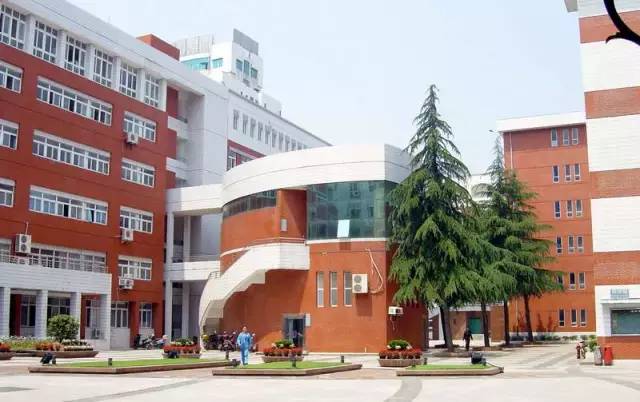 武汉市十大美丽中学,武汉十大美丽学校