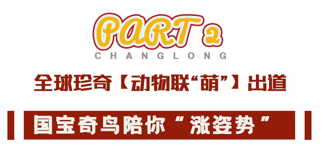 2019暑假珠海长隆亲子游攻略,广州长隆值得玩2天吗