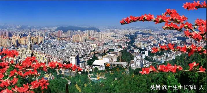 三围、四和、五联、六约，深圳这些有意思的地名是怎么来的