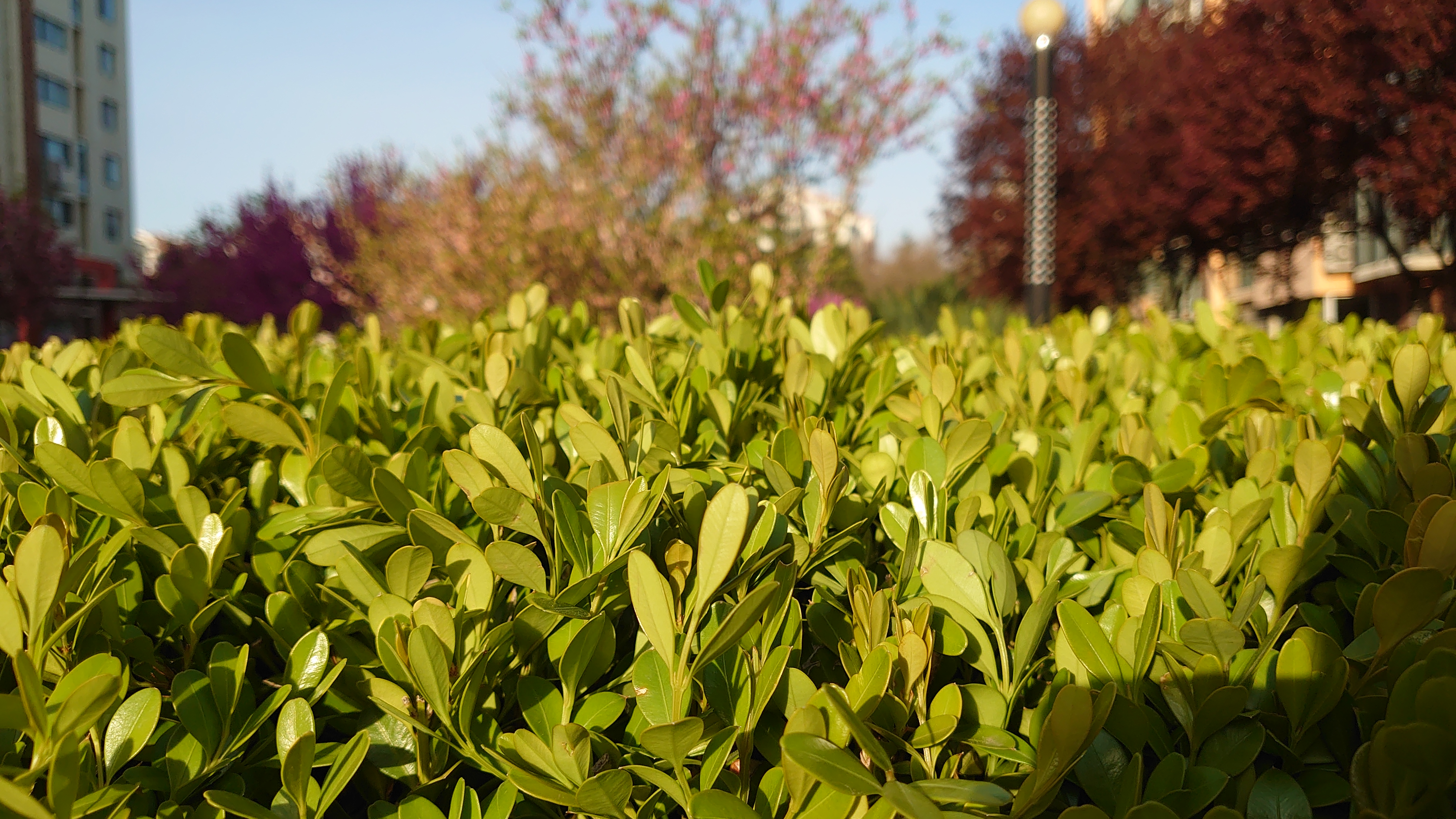 索尼微单手机xperia5i,索尼xperia5ii深度评测