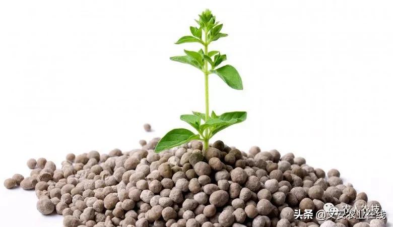 2019年中国化肥行业大事件盘点