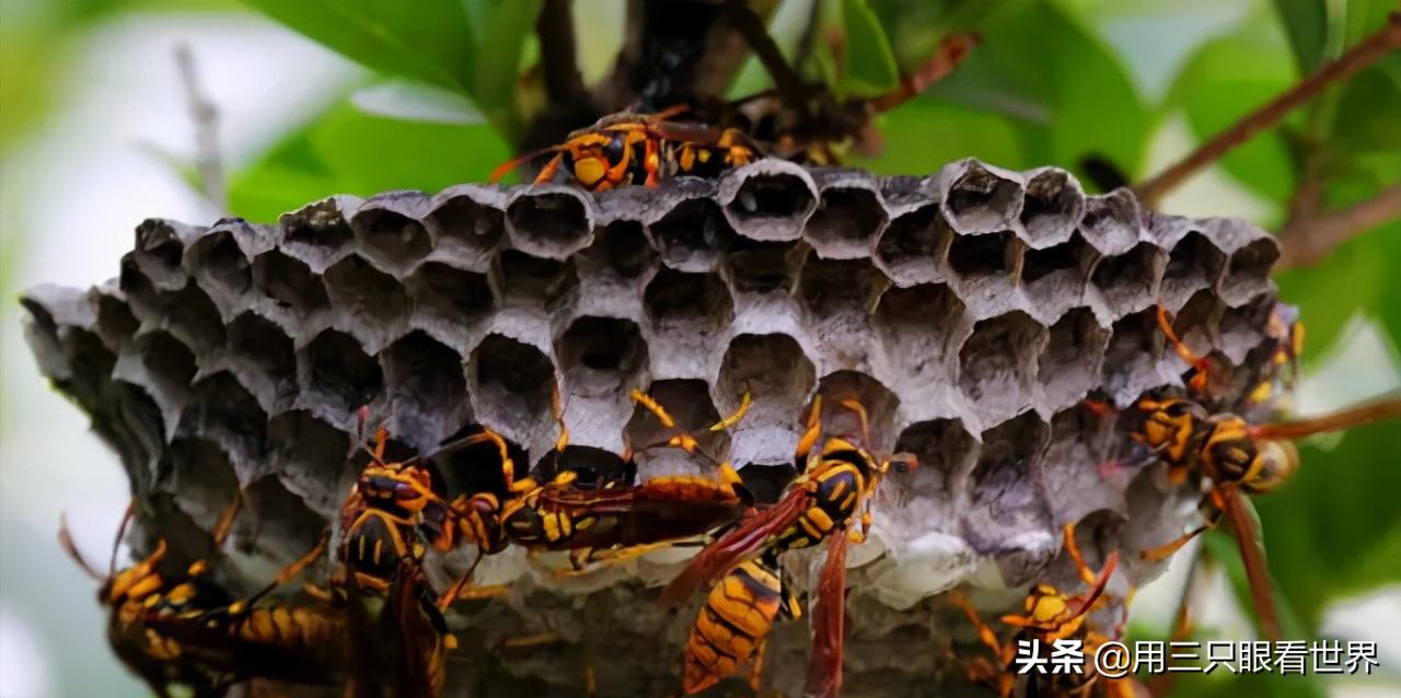 知青难忘的岁月,知青难忘的回忆故事