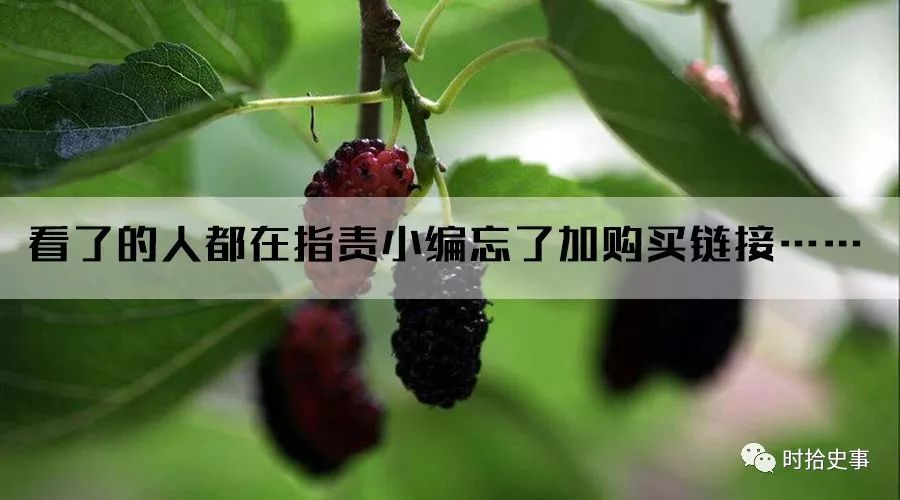 五胡十六国有多残忍,五胡与十六国时期的汉族政权