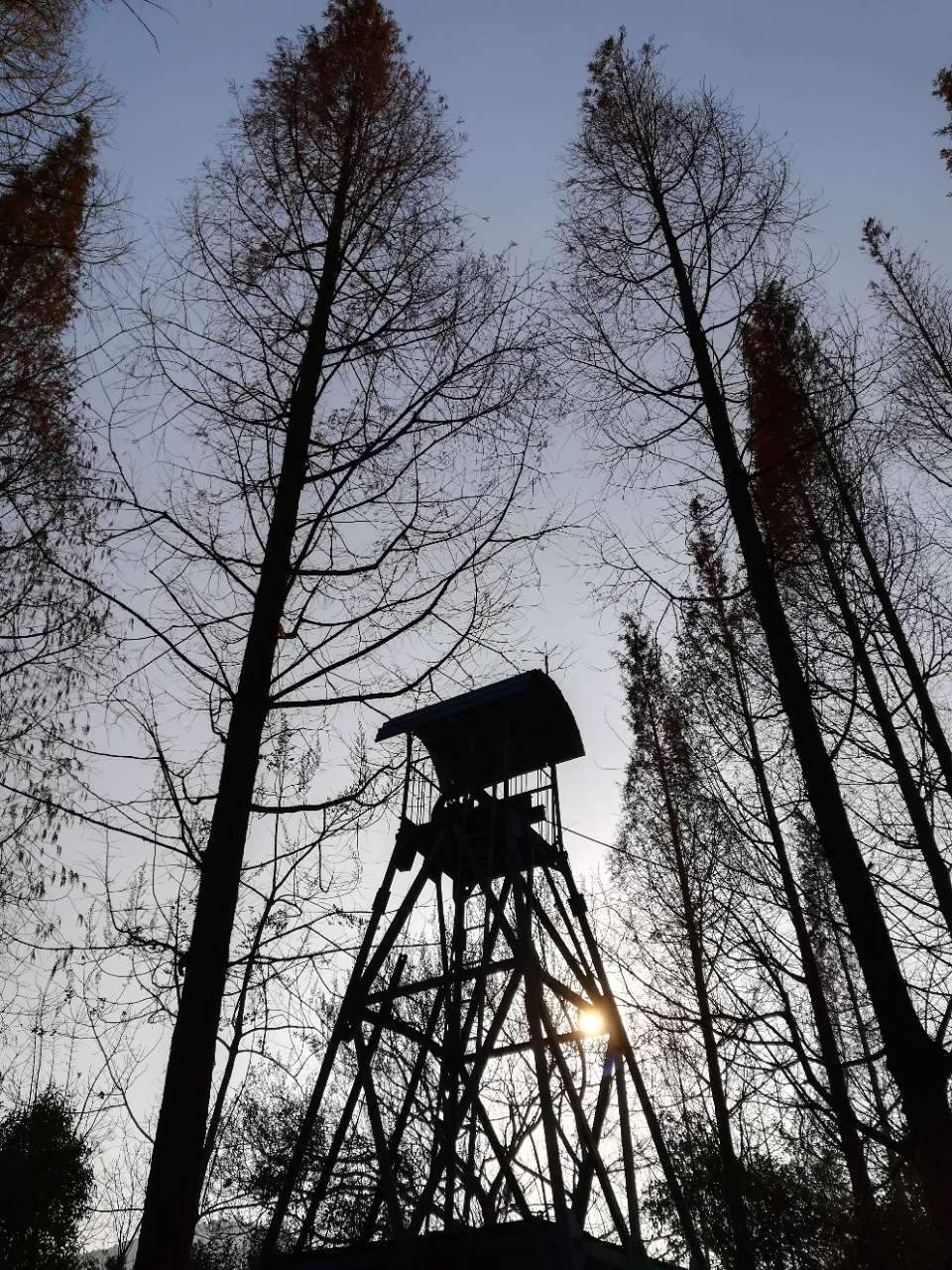 淮南湿地风光视频,淮南公园景点大全