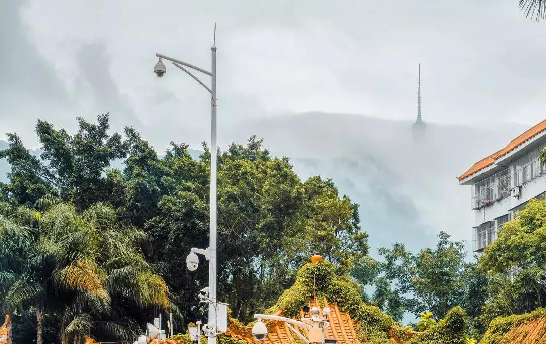 附近莲塘,附近的莲塘