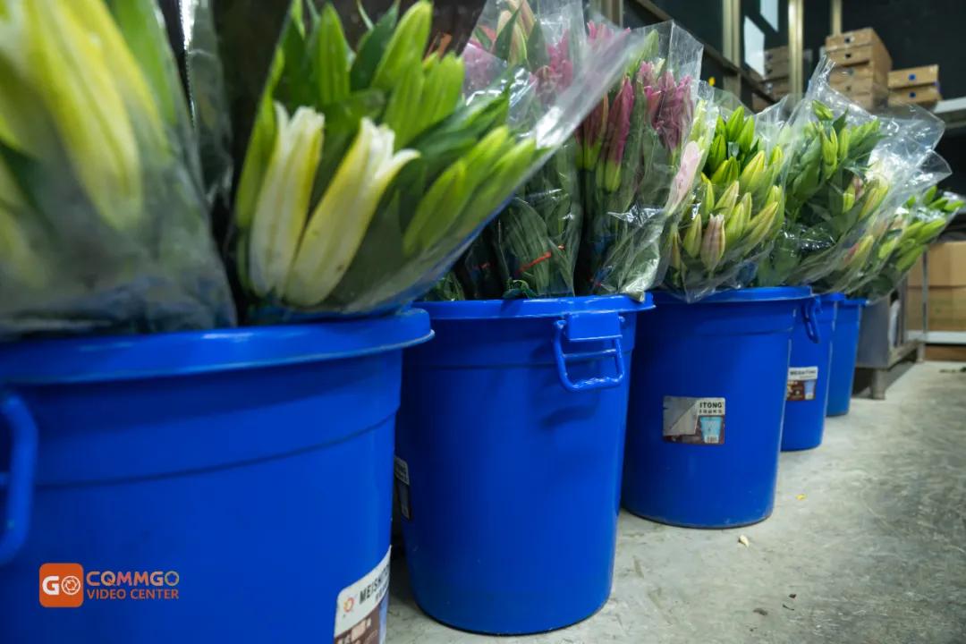 重庆最大的花市在哪里,重庆花市排名前十名