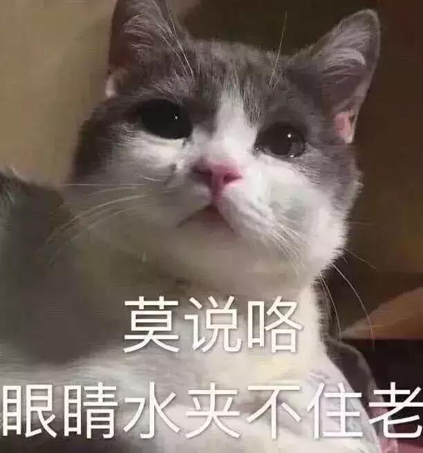 2020最后一个月了承蒙时光不弃,2018的最后一天