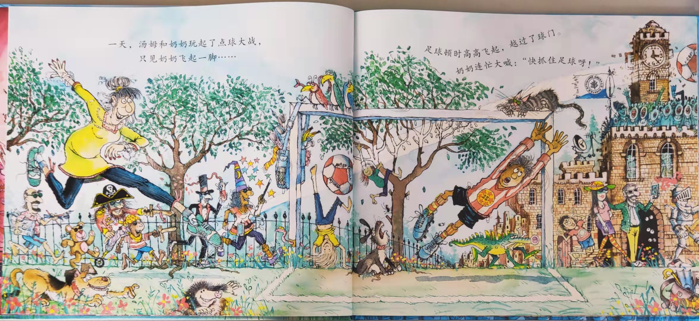 足球绘本推荐理由,踢足球绘本