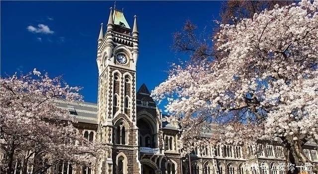 新西兰人口500万,新西兰靠什么成为发达国家