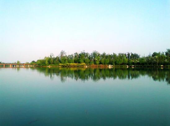 潍坊的美景与文化,潍坊美丽的视频