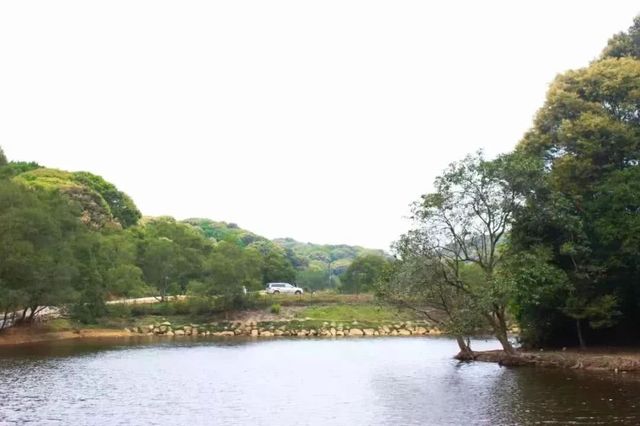 深圳爬山的好去处,深圳爬山地方推荐适合小朋友